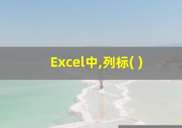 Excel中,列标( )